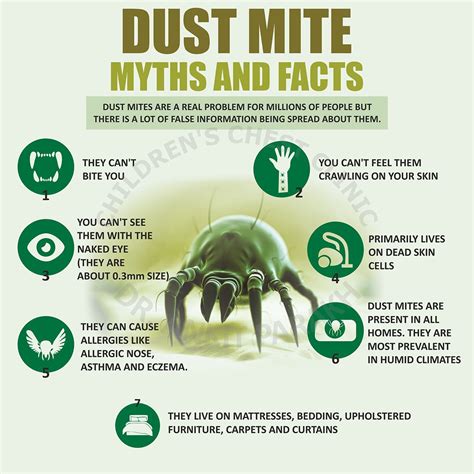 How To Eliminate Dust Mites In Carpet