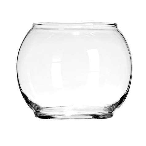 Clear Round Glass Floral Bowls 4 875 In In 2020 Floral Bowls Wine Glass Glass