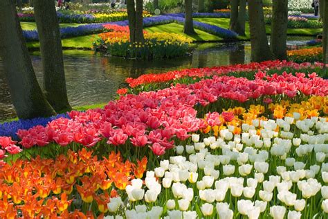 Keukenhof Holanda El Jardín Más Bonito Del Mundo 50 Paisajes Donde