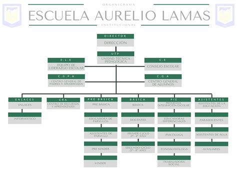 Organigrama Escuela Aurelio Lamas