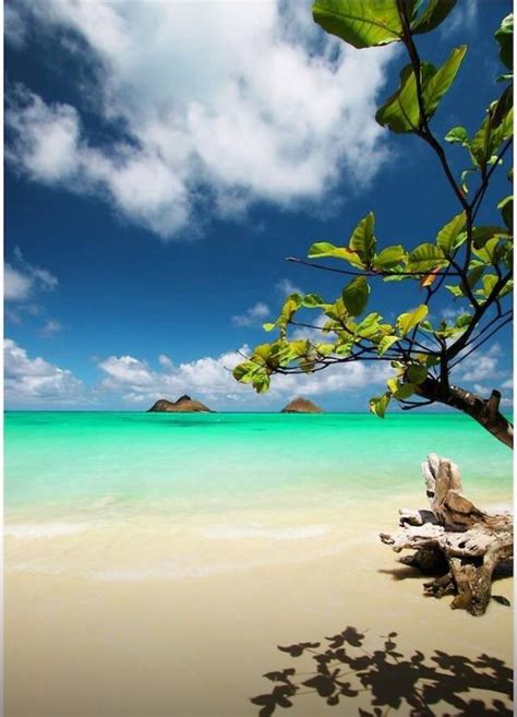 Lanikai Beach Oahu Hawaii Lanikai Beach Places To