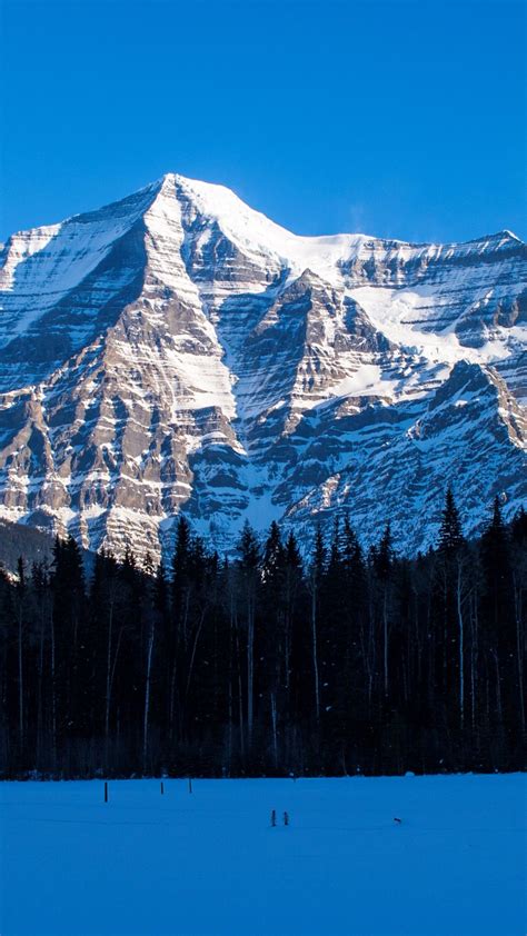 Mount Robson Wallpaper Backiee