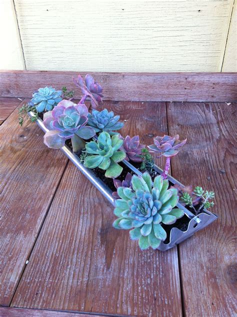 Pinned It Made It Succulents Made Pin Plants Succulent Plants