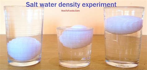 Eggs And Salt Water Water Density Science Experiment Diy Free