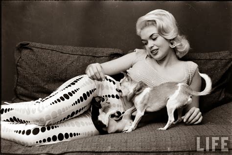 Vintage Doggy Jayne Mansfield And Her Dogs