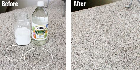 Press down on the stain repeatedly, lifting the cloth straight up, rather than rubbing. Baking Soda And Vinegar To Clean Carpet Stains | TcWorks.Org