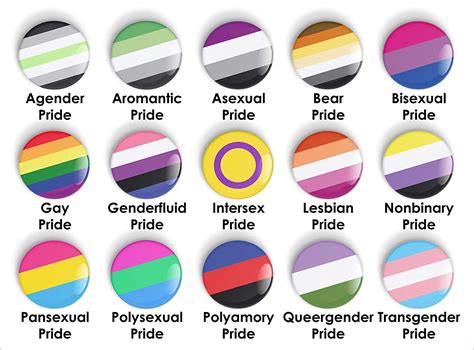 lgbtqia flags 30 different pride flags and their meaning lgbtq flags names the top 40