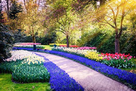Pin By Krema71 On Nature Spring Landscape Colorful Flowers Colorful