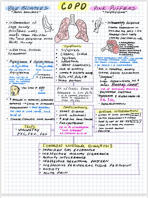 Nursing Study Guide Template