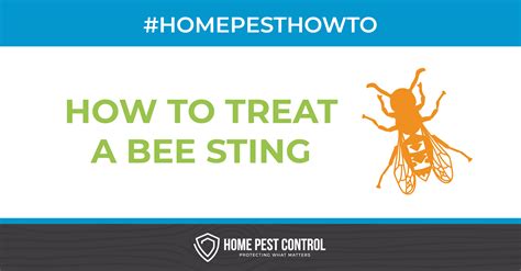How To Treat A Bee Sting Stinging Insects Home Pest Control