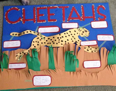 Cheetah Project Poster Science Fair Projects Fair Projects