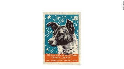 The Amazing True Story Of Soviet Astronaut Dogs Cnn