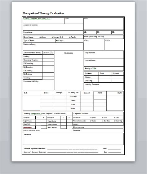 Occupational Therapy Evaluation Template Form Occupational Therapy