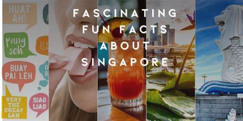 Fascinating Fun Facts About Singapore Singapore Travellers Travel Guide