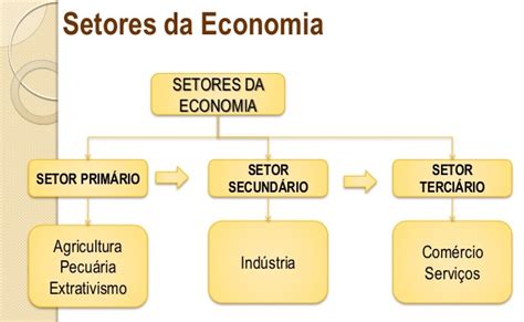 InformÁtica Educativa Na Escola Francisco Zilli Setores Da Economia