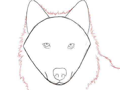 15 How To Draw A Wolf Easy Background Shiyuyem