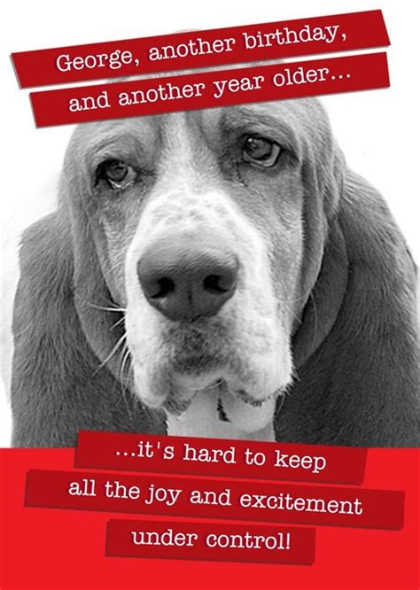 Funny Dog Birthday Card Moonpig