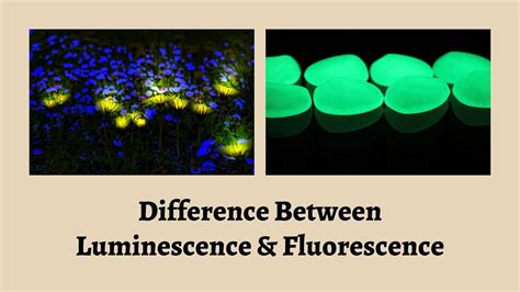 Difference Between Luminescence And Fluorescence Luminescence Vs Fluorescence Shine On Or