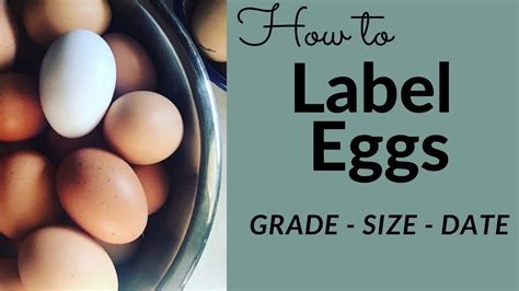 how to label eggs grading sizing and dating eggs youtube