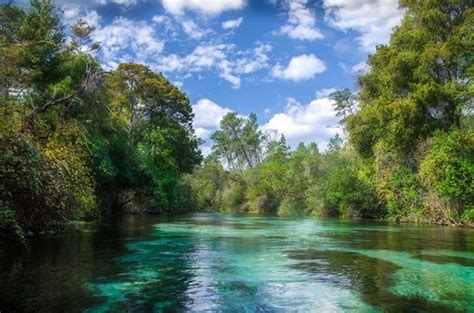 Weeki Wachee River View