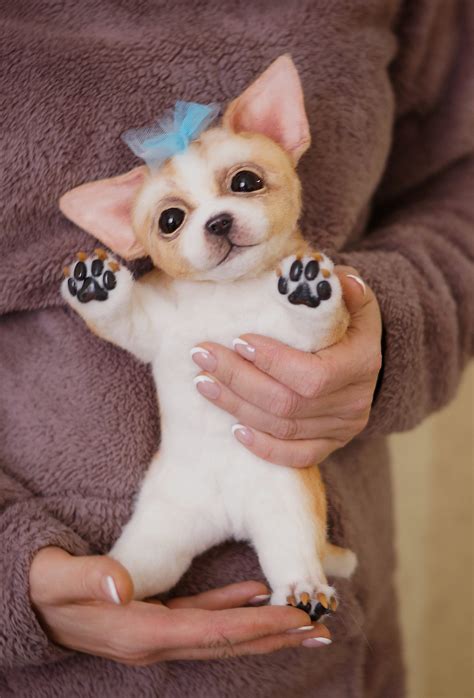 Chihuahua Puppy Stuffed Animal Toy Custom Plush Realistic Etsy