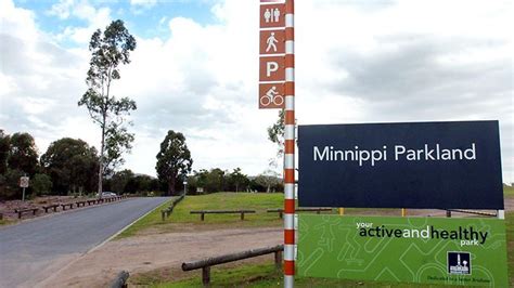 Authorities Flush Out Sex Beat Users At Minnippi Parklands In Brisbane