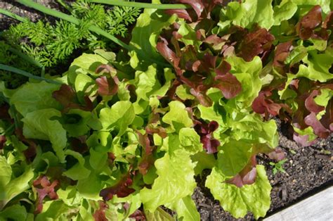 See more of mein perfektes hochzeitskleid on facebook. Die perfekte Sitzordnung - Meine Beetgeschichten