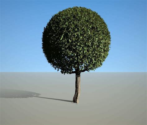 Spherical Shaped Tree 4 Season 3d Model By Chamsb11