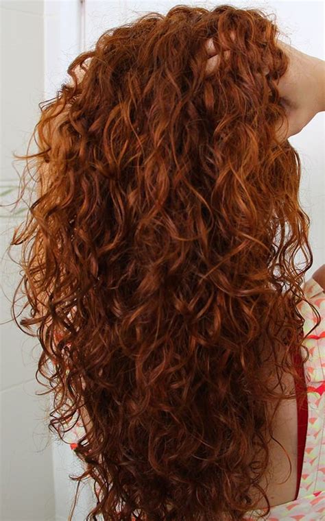 100 Red Brown Hair Ideas To Match The Beginning Of Fall Curly Hair Styles Red Curly Hair