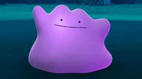 Pokémon Go Ditto How To Catch Ditto Which Pokémon Can Be Ditto And