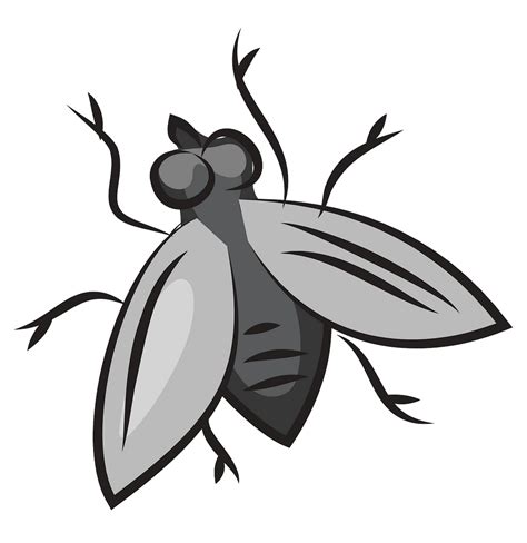 Flies Clipart