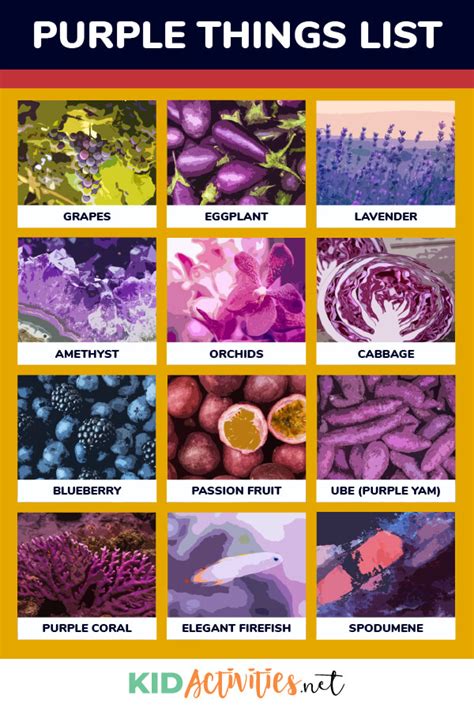 75 Purple Things And Purple Activity Ideas For Kids Kid