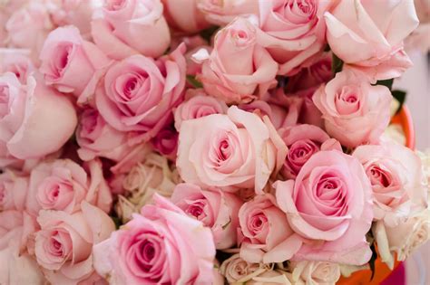 Historic Charm Meets Modern Love: Jill + Torval - Anne Stephenson Photo