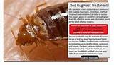 Bed Bug Treatment Heat Photos