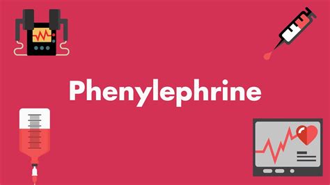 Phenylephrine Vasopressors And Inotropes Youtube