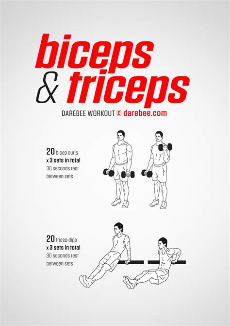 Biceps And Triceps Workout Schedule Workoutwalls
