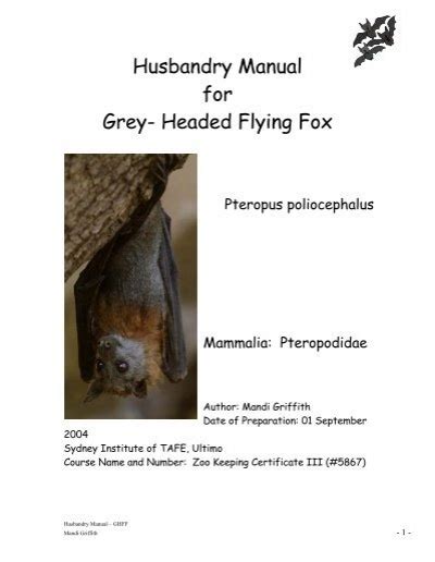 Husbandry Manual For Grey Headed Flying Fox