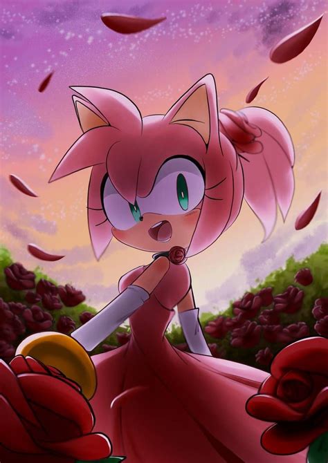 Amy Rose Sonic X Pink Beauty Crush Sonic The Hedgehog Coloring Pages