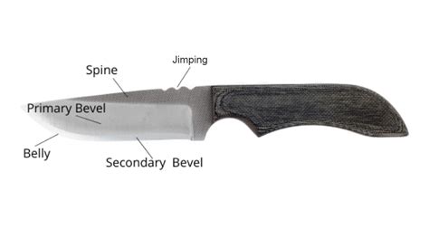 Knife 101 The Anatomy Of A Knife American Edge American Edge Knives