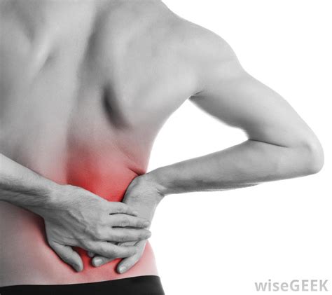 Inflammation or damage to these structures could occur due to certain medical conditions. What are the Different Types of Back Workouts? (with pictures)