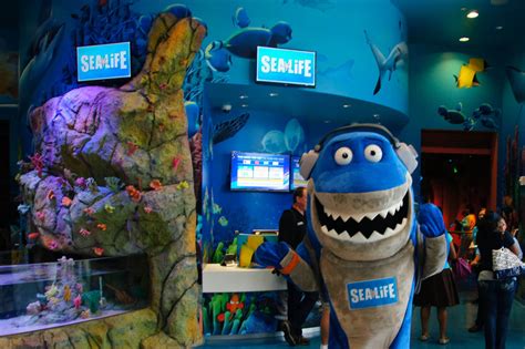 Sea Life Aquarium Brings Interactive Experiences And Sea Creatures To