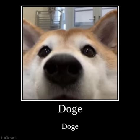 Doge Imgflip