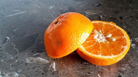 How To Grow Oranges From Seeds