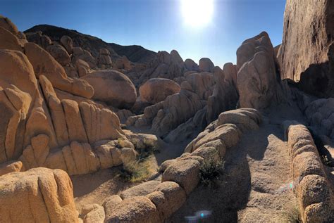 How To Visit Joshua Tree National Park In 1 Or 2 Days The Ultimate