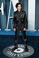 timoth-c3-a9e-chalamet-attends-the-2022-vanity-fair-oscar-party-news ...
