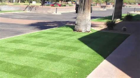 Artificial Grass Chandler Arizona Unique Turf Mow Lines Youtube