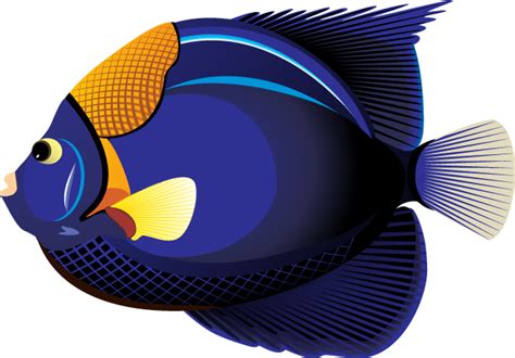 Free Tropical Fish Cliparts Download Free Tropical Fish Cliparts Png