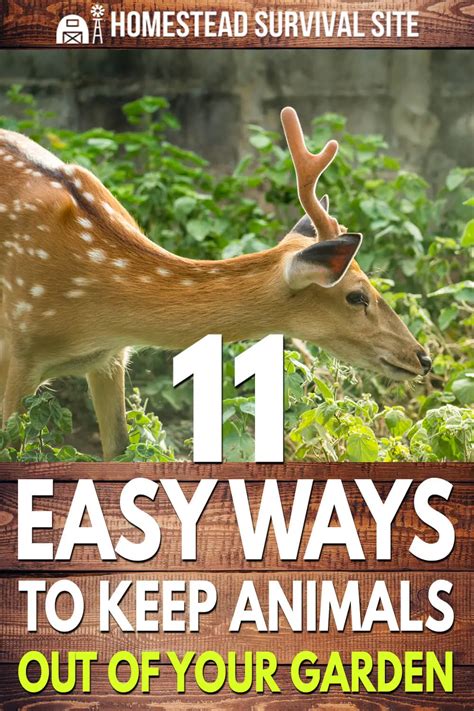 11 Easy Ways To Keep Animals Out Of Your Garden