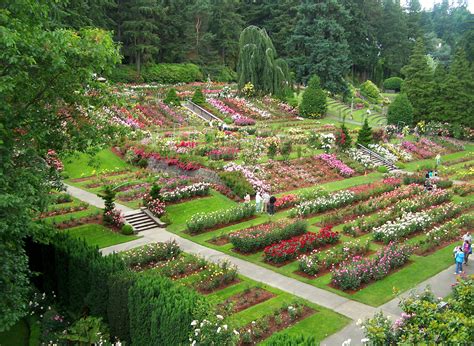 International Rose Test Garden — Portland Parks Foundation