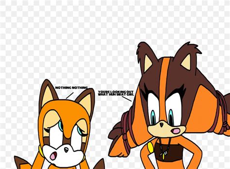 Sticks The Badger Cat Sonic The Hedgehog Tails Png 1600x1179px Sticks The Badger Badger